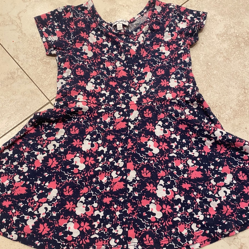 Splendid 2t excellent used condition